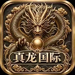 真龙国际